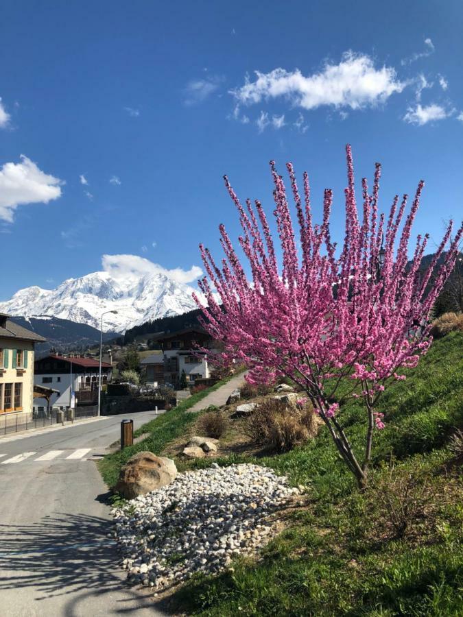 Aparthotel Le Floralp Combloux Exterior foto